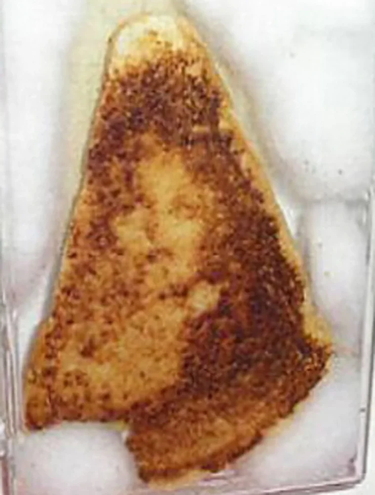 1C4262433-jesus-app-grilledcheese.webp