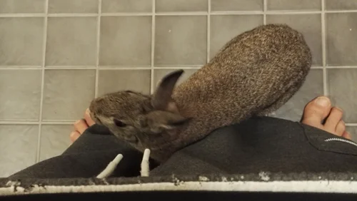 2017-03-20 08.58.40.webp