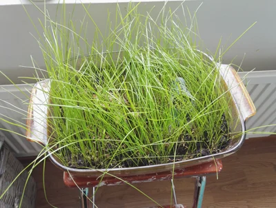 2017-04-13 13.46.34.webp