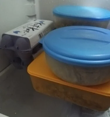 2017-07-23 23.09.52.webp