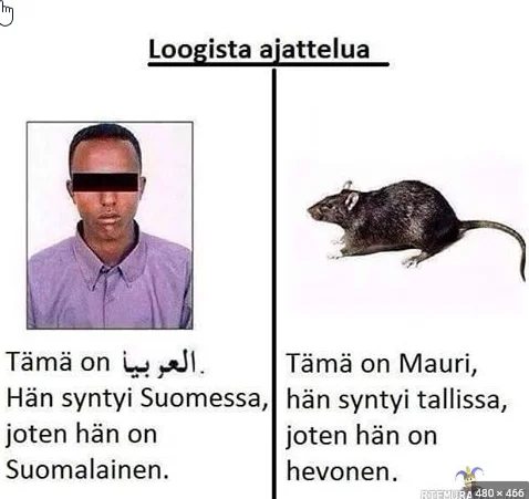 2022-11-30 15_06_08-Window.webp