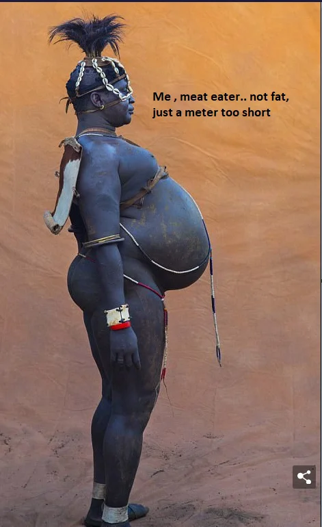 2024-04-05 11_58_52-Imgur_ The magic of the Internet — Mozilla Firefox.webp