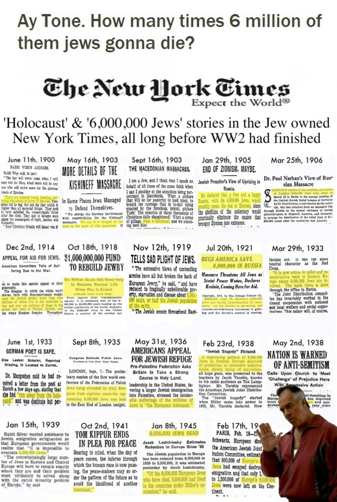 6 million-687x1024.webp