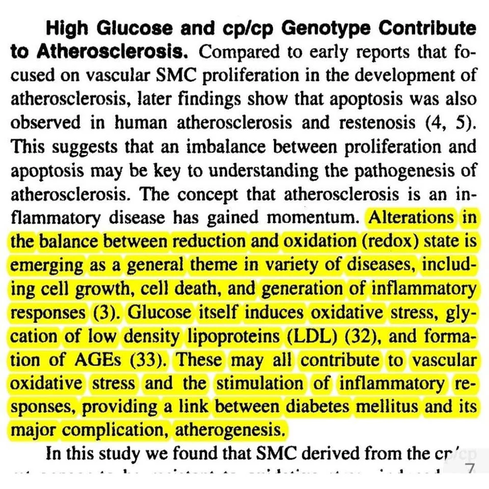 82793496_1334346433414304_477669855886049280_o (1).webp