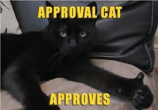 ApprovalCat.jpg