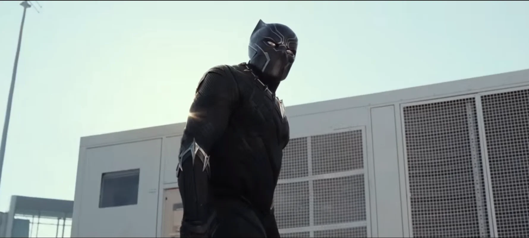 black panther.webp