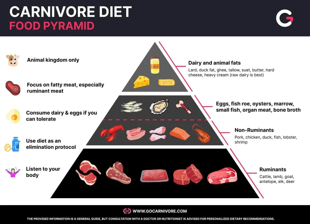Carnivore20Diet20Food20Pyramid.webp