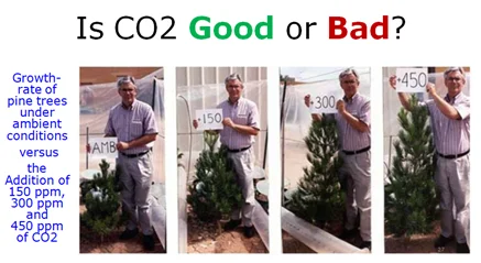 co2pine.webp