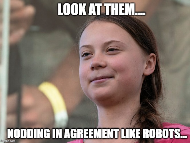 greta-thunberg-smirk-climate-change-meme.jpg