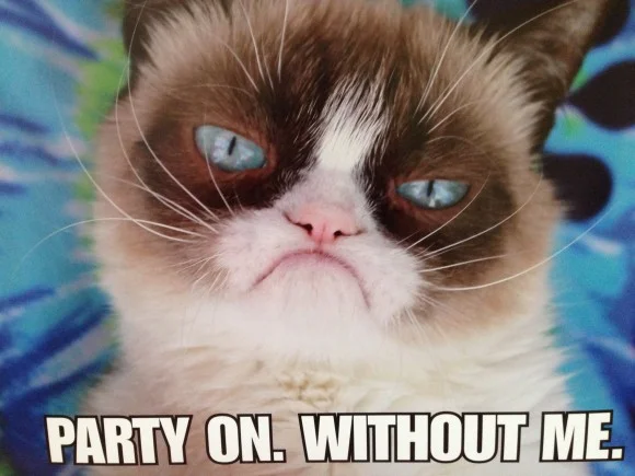grumpy-cat-poster41-e1396570566775-580x435.webp