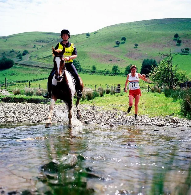 hevonen vs ihminen.webp
