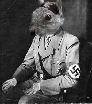 HitlerSquirrel.webp