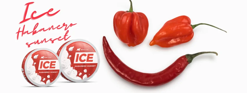 Ice habanero valkonen maili.webp