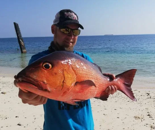 IMG-20190408-WA0005 (2).webp