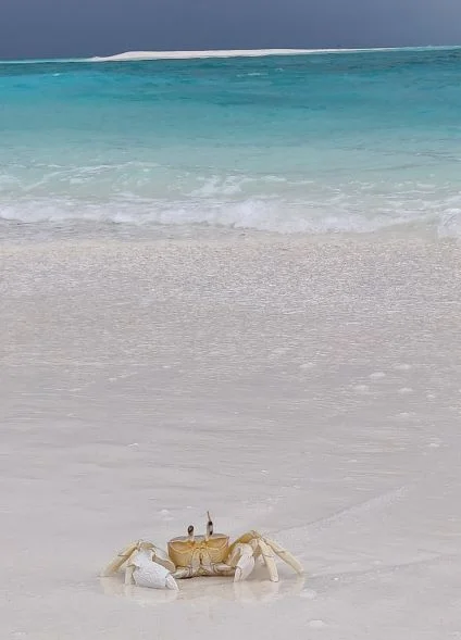 IMG_20191016_120245 (2).webp