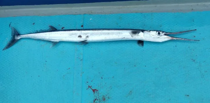 IMG_20191020_174205 (2).webp