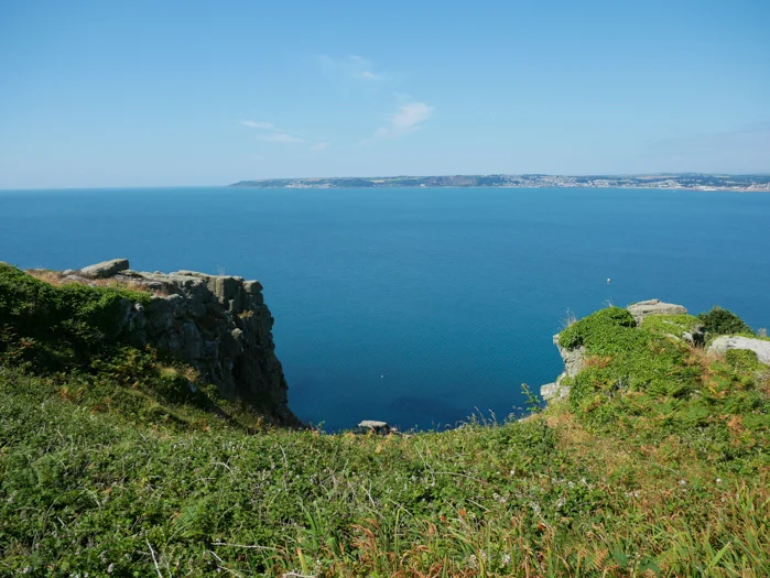 James_export (2 of 1)-200.webp