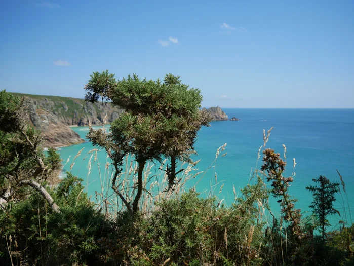 James_export (2 of 1)-215.webp