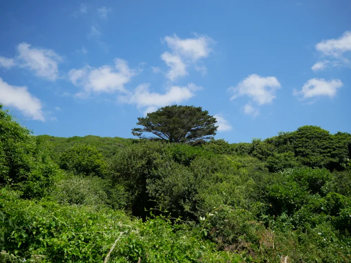 James_export (2 of 1)-217.webp