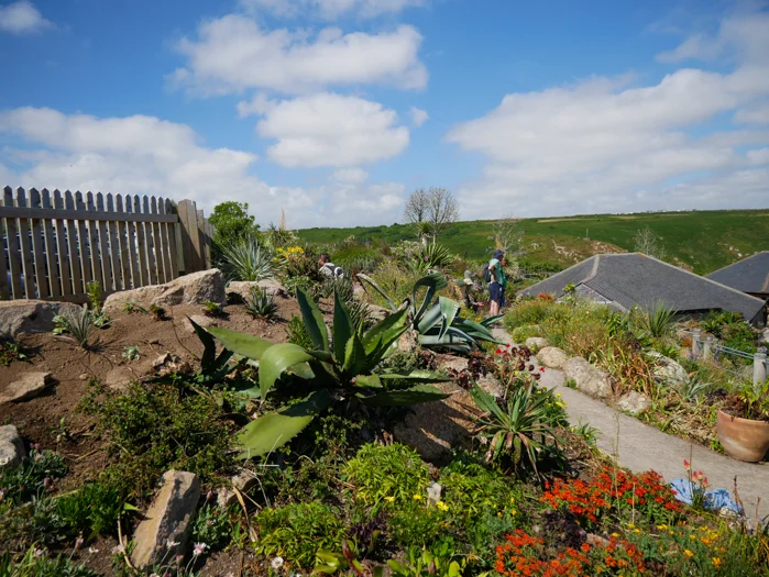 James_export (2 of 1)-219.webp