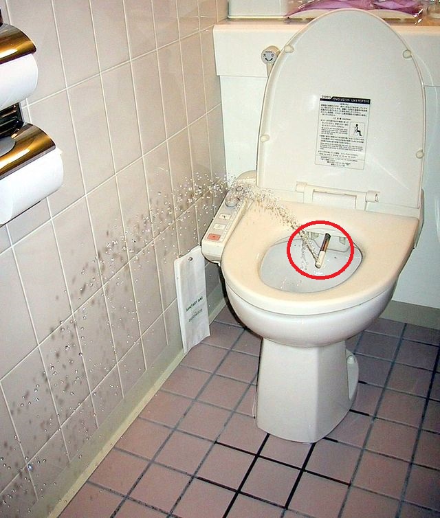 JapaneseToiletBidet.jpg