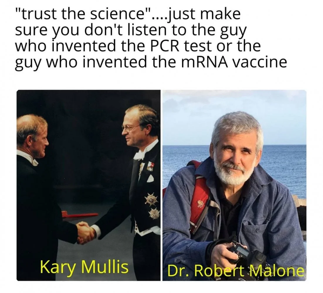 Kary Mullis, Robert Malone.webp