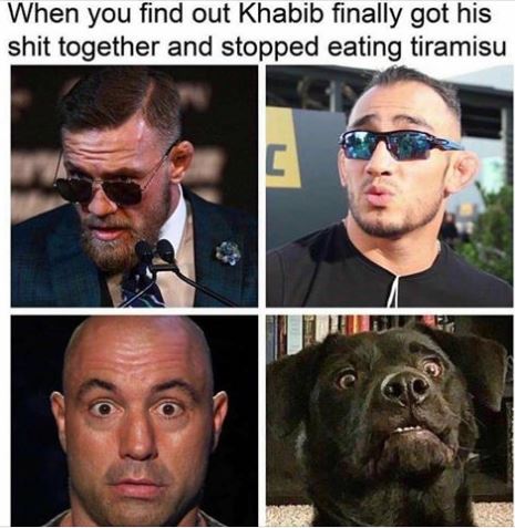 khabib.JPG