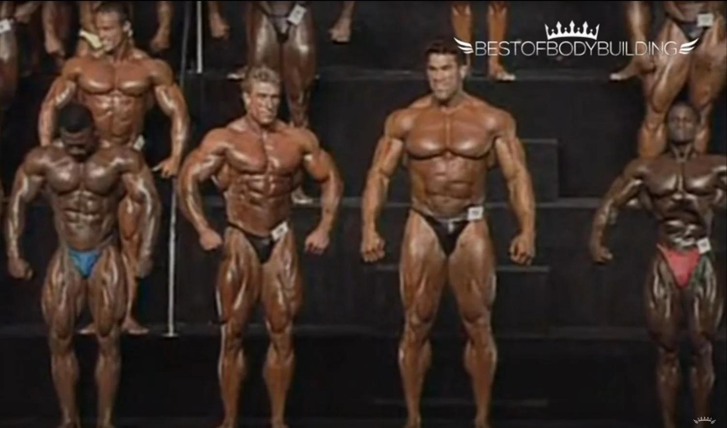 lou ferrigno yates.webp