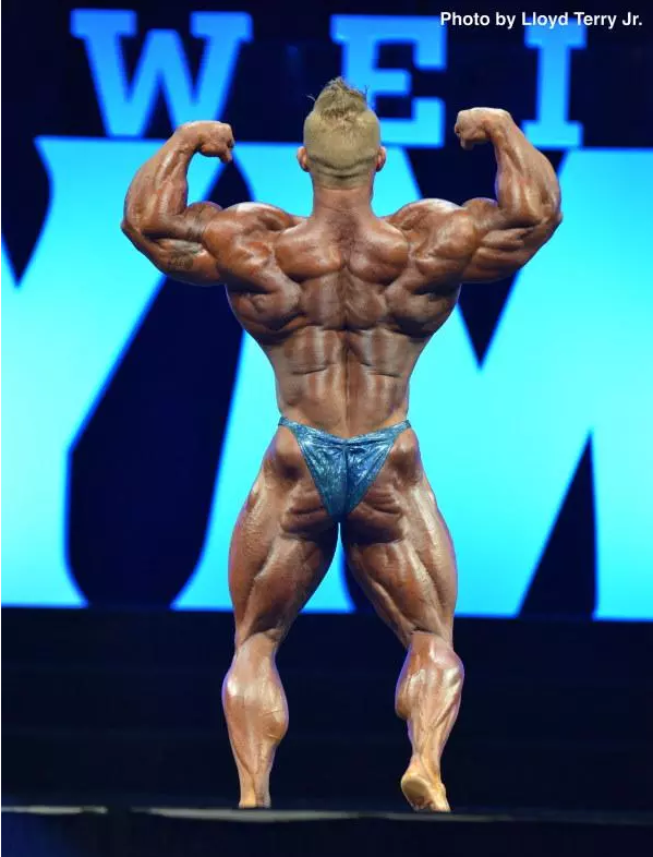 Mr. O 212 flex.png