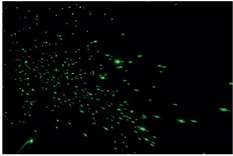 Näyttökuva 2020-4-19 kello 10.29.13.webp