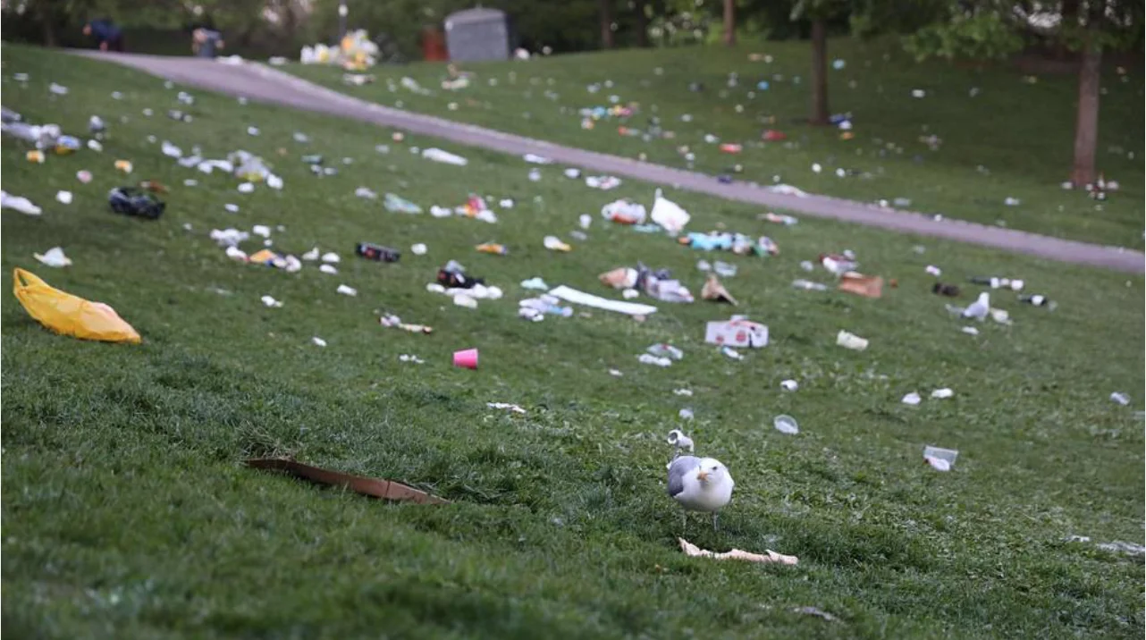 Näyttökuva 2020-5-31 kello 12.52.39.webp