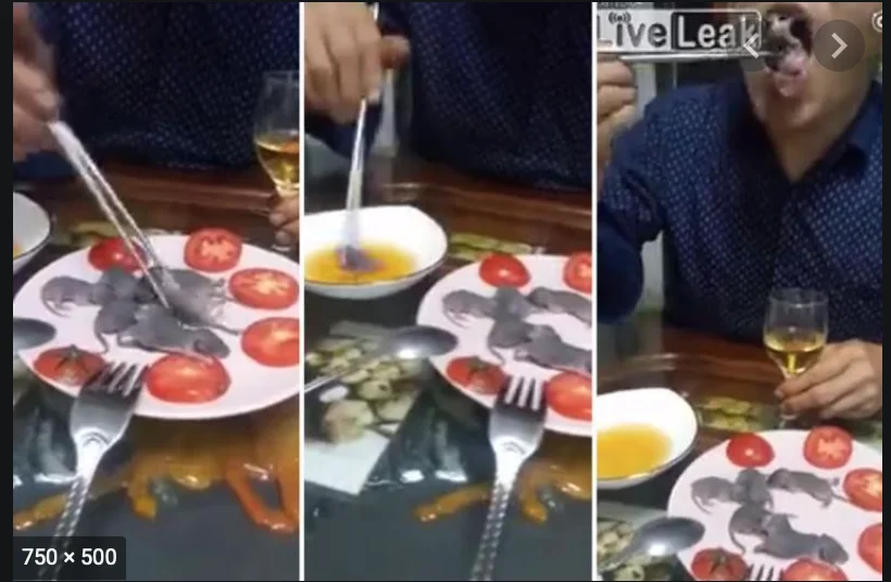 Näyttökuva 2020-5-9 kello 11.47.52.webp