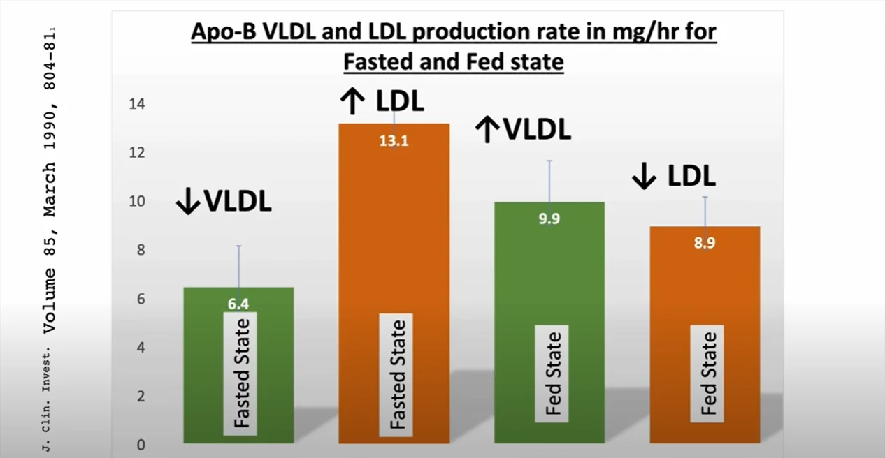 Näyttökuva 2025-07-26 122356.webp