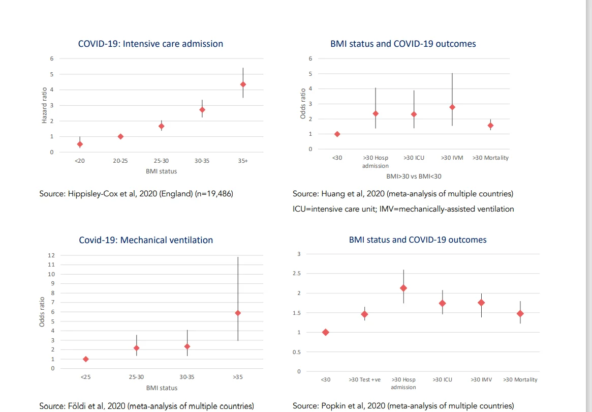 Näyttökuva (85).webp