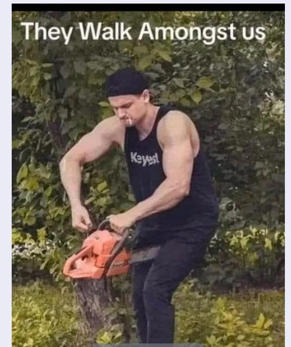 Offarin kesäpäivät.webp