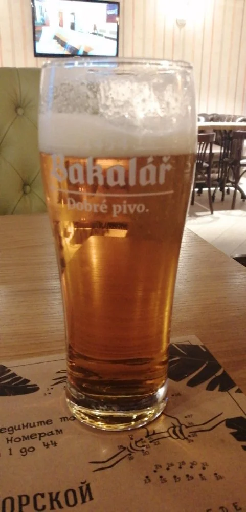 Pivo.webp