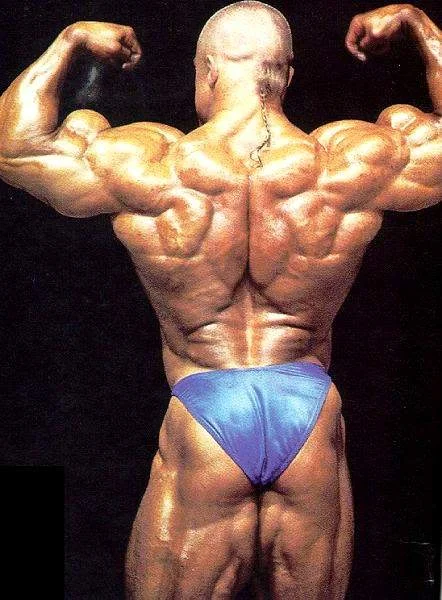 pysytään aiheessa.webp