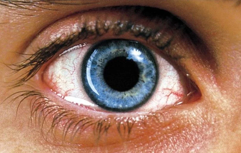 requiem_for_a_dream_eye_pupil_3536_3840x2400.webp