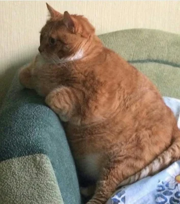 Screenshot 2017-11-28 11.24.27.webp