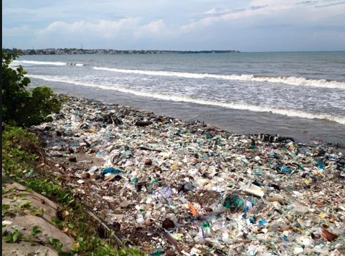 Screenshot 2020-11-15 at 17.25.56.webp