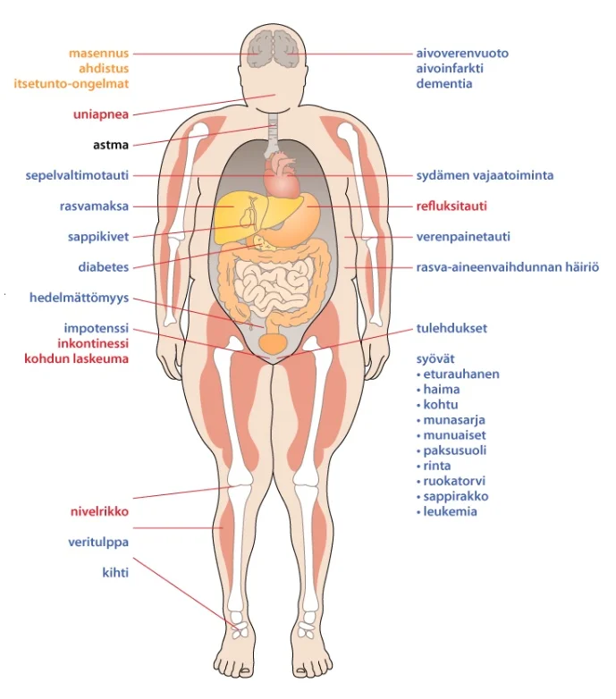 Screenshot 2021-07-21 at 9.11.49.webp