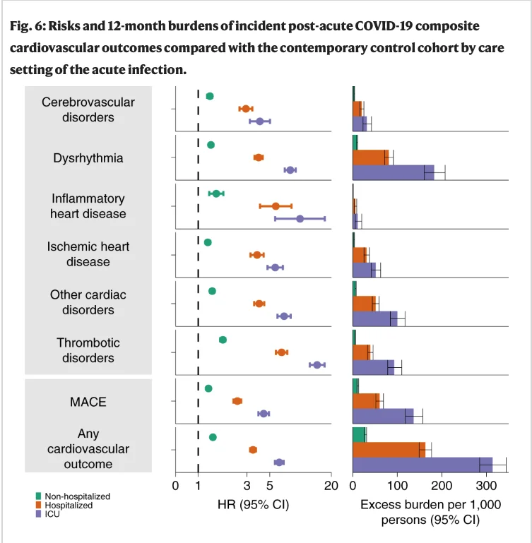 Screenshot 2022-02-14 at 16.00.07.webp