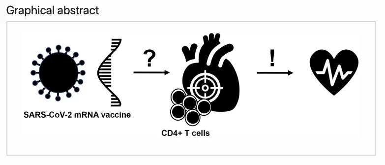 Screenshot 2022-12-04 at 21.02.37.webp