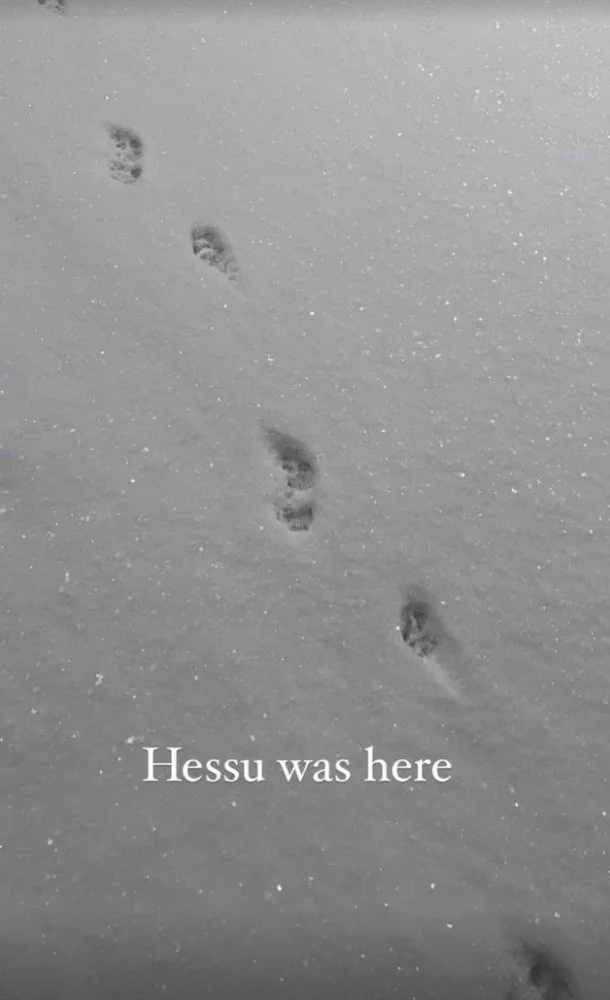 Screenshot 2023-03-12 at 2.47.26.webp