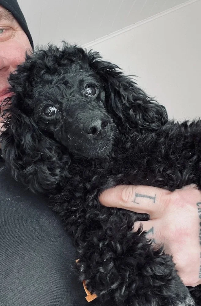 Screenshot 2023-03-25 at 9.47.20.webp