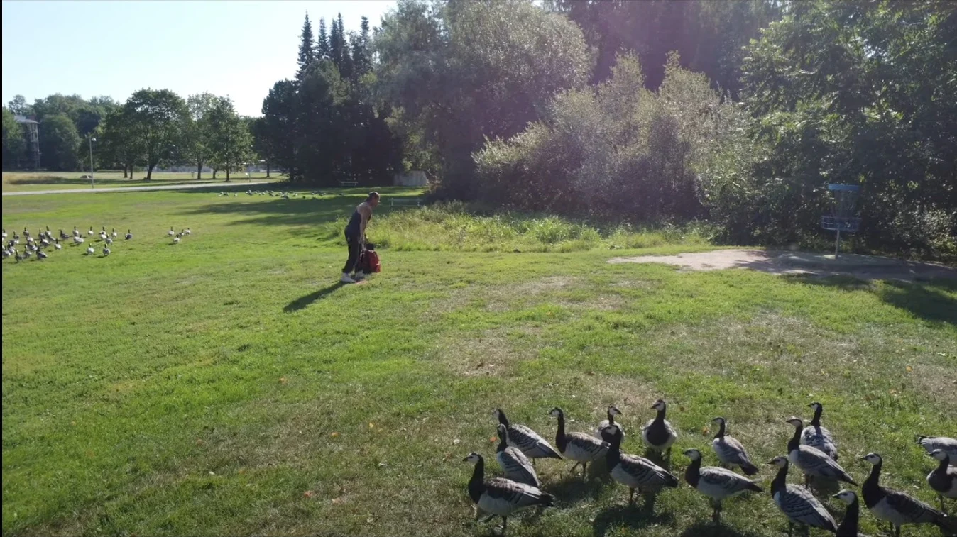 Screenshot 2023-05-16 at 21.36.58.webp