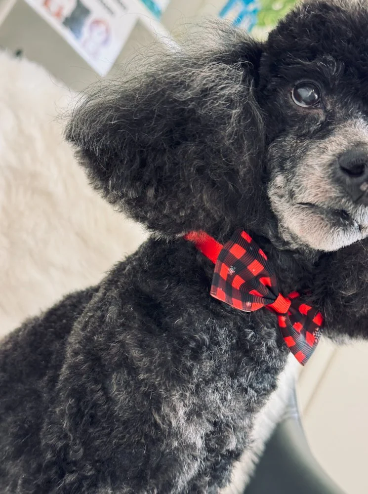 Screenshot 2023-12-17 at 0.43.36.webp