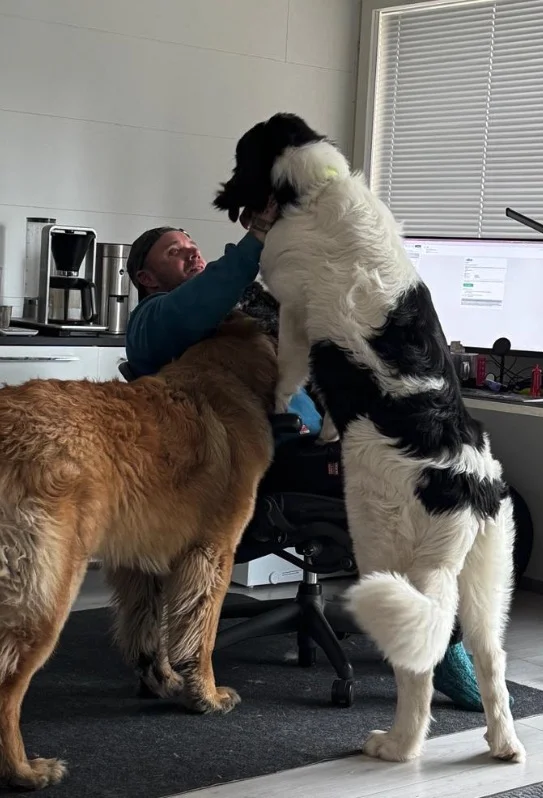 Screenshot 2025-04-23 at 13.09.45.webp