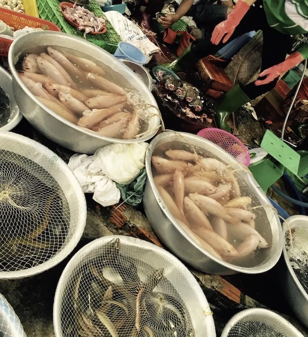 Screenshot 2026-01-16 at 14.17.13.webp