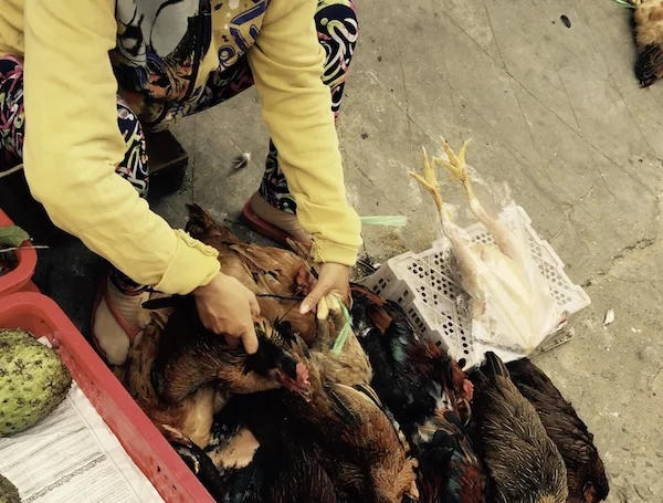 Screenshot 2026-01-16 at 14.17.42.webp